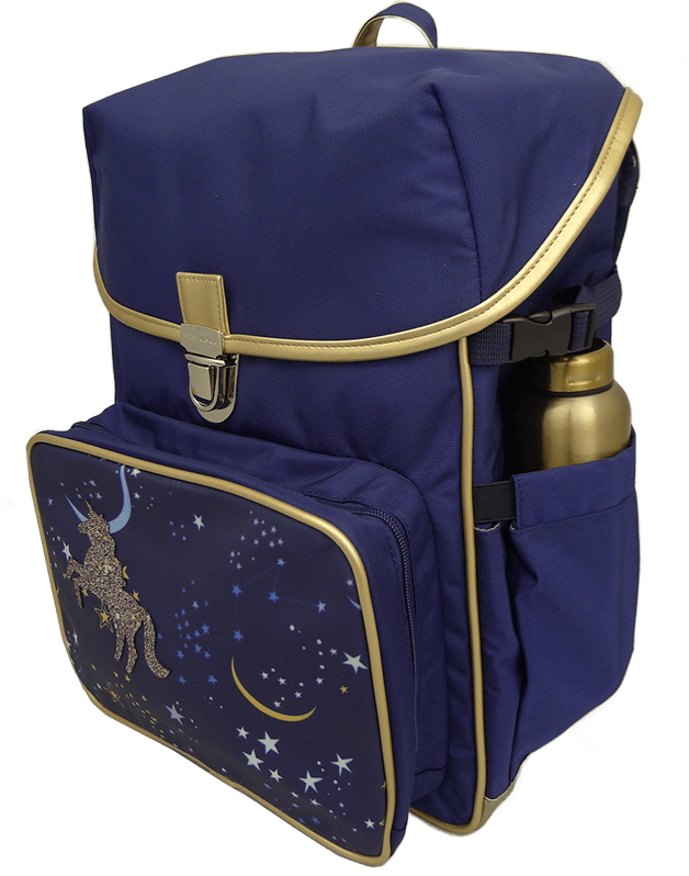 Constellation Night Ergo Backpack