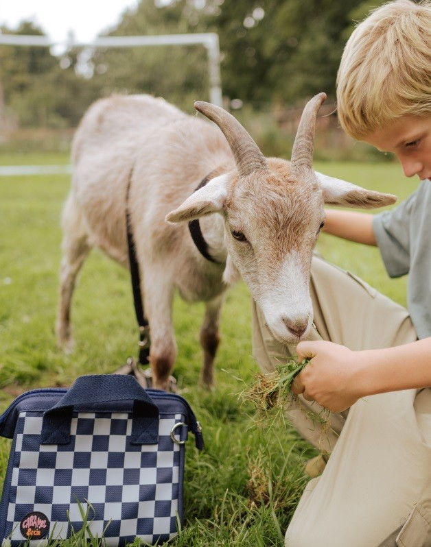 Lunch bag Square navy and sky