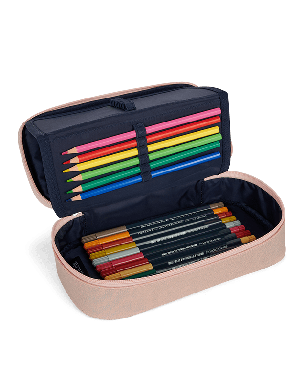 Trousse scolaire modulaire irisée papillon rose