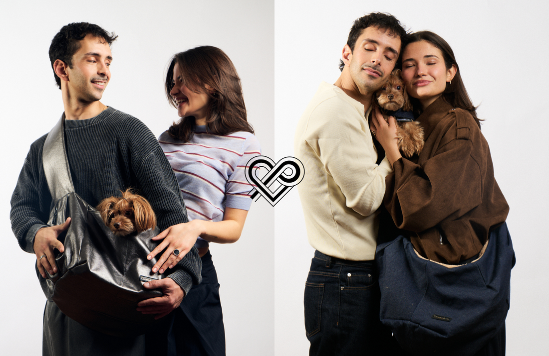 "Dog-Centric" : pourquoi nos chiens ne touchent-ils plus terre en 2026 ? Caramel & cie
