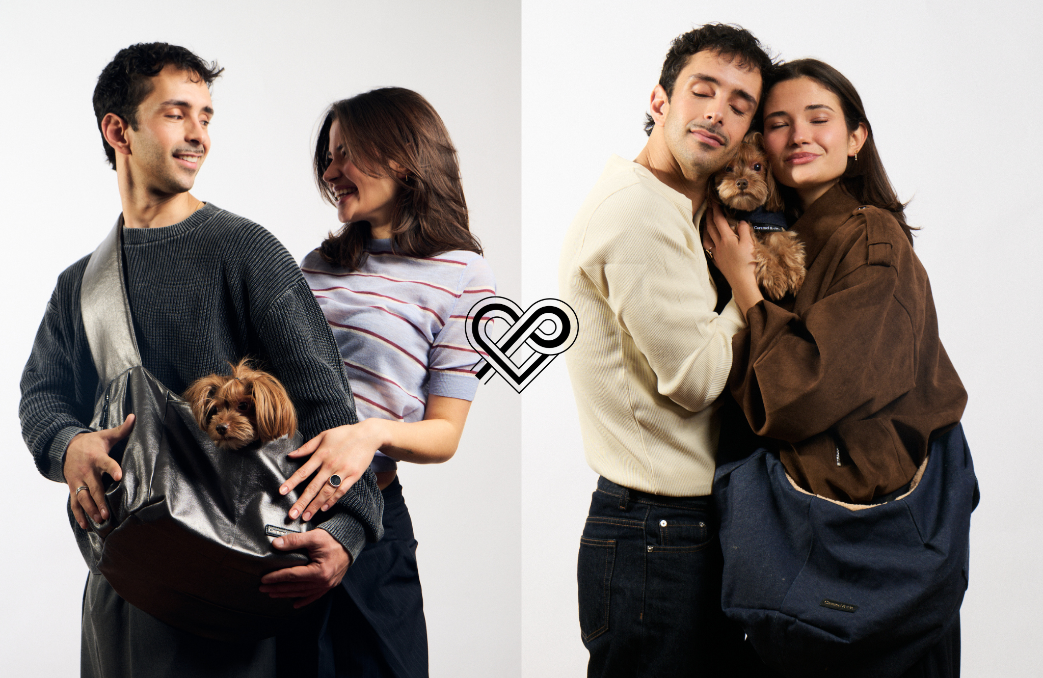 "Dog-Centric" : pourquoi nos chiens ne touchent-ils plus terre en 2026 ? Caramel & cie