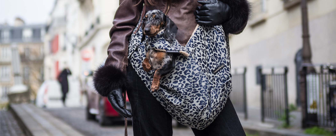 Quel sac de transport pour un chien de moins de 5 kg ? Caramel & cie