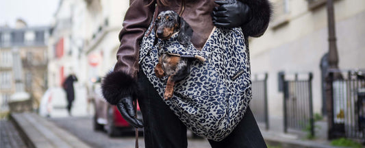 Quel sac de transport pour un chien de moins de 5 kg ?