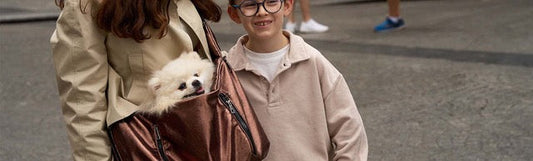 Guide : comment choisir son sac de transport pour chien
