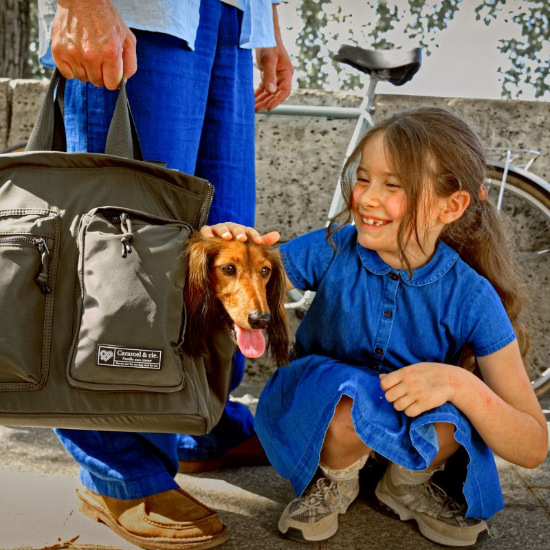 Chiens & Chats