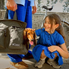 Chiens & Chats