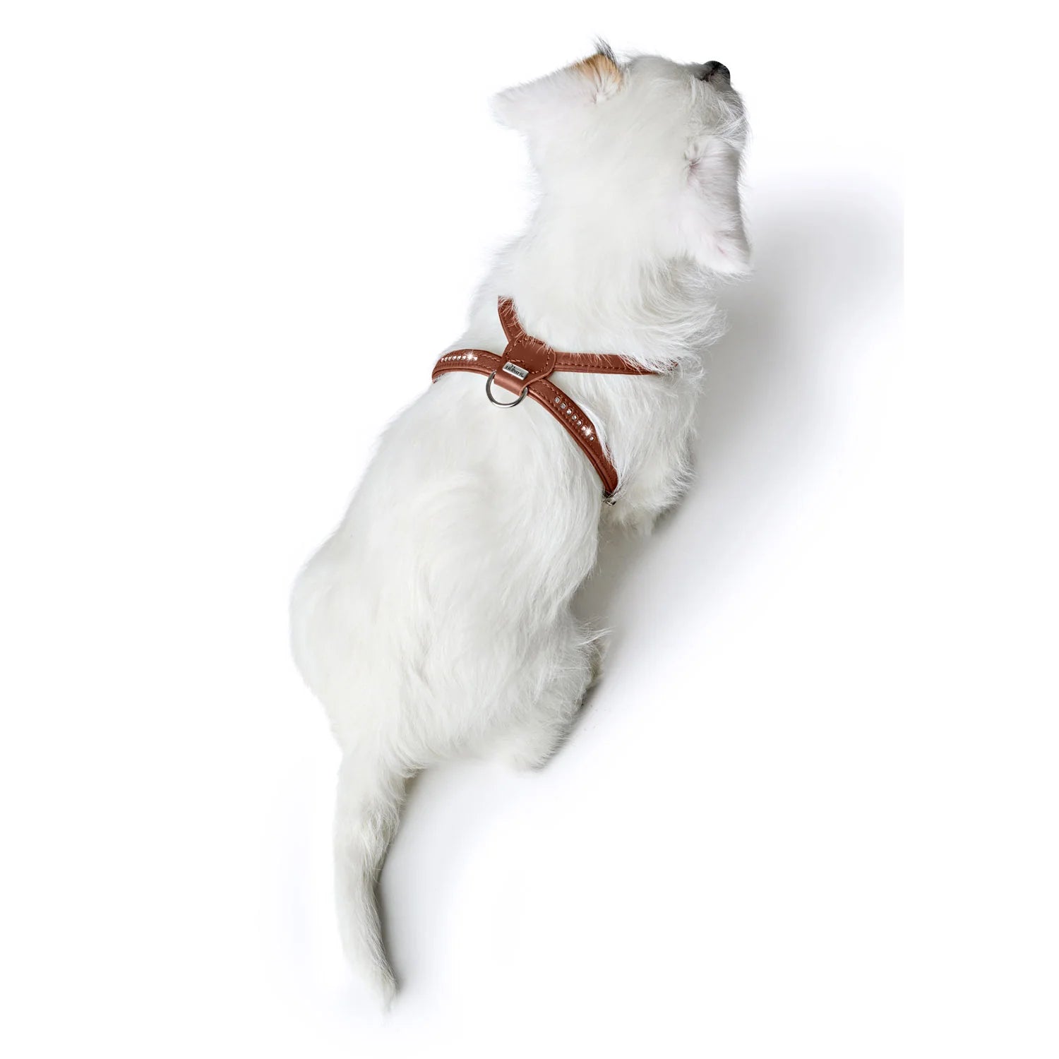 Harnais pour Chien en Cuir Cognac –  XXS-XS Caramel & cie