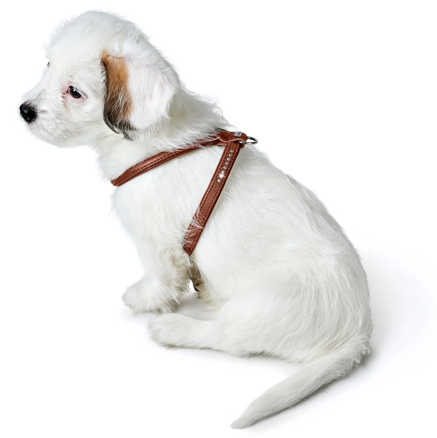 Harnais pour Chien en Cuir Cognac –  XXS-XS Caramel & cie