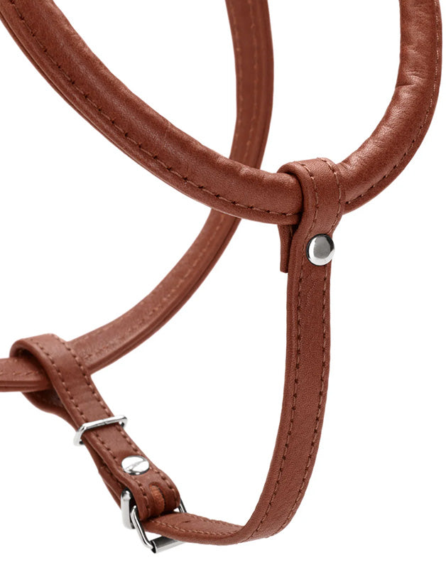 Harnais pour chien en cuir marron  -XXS / XS Caramel & cie