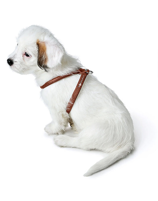 Harnais pour chien en cuir marron  -XXS / XS Caramel & cie