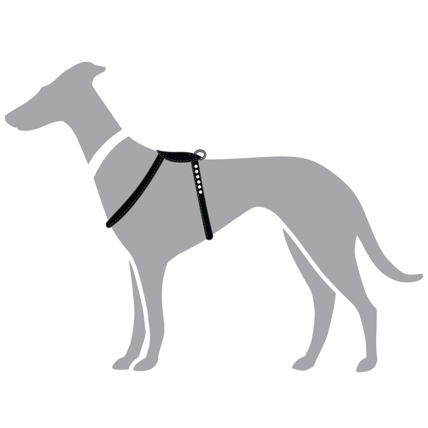 Harnais pour Chien en Cuir Noir –  XXS-XS Caramel & cie