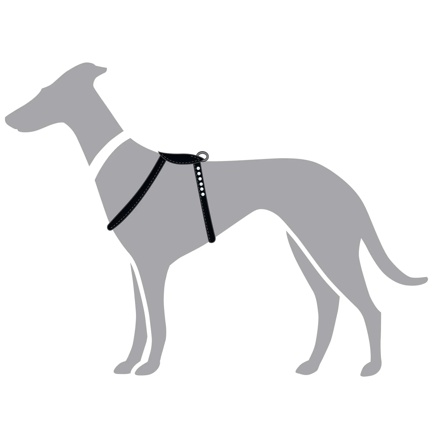 Harnais pour Chien en Cuir Noir –  XXS-XS Caramel & cie