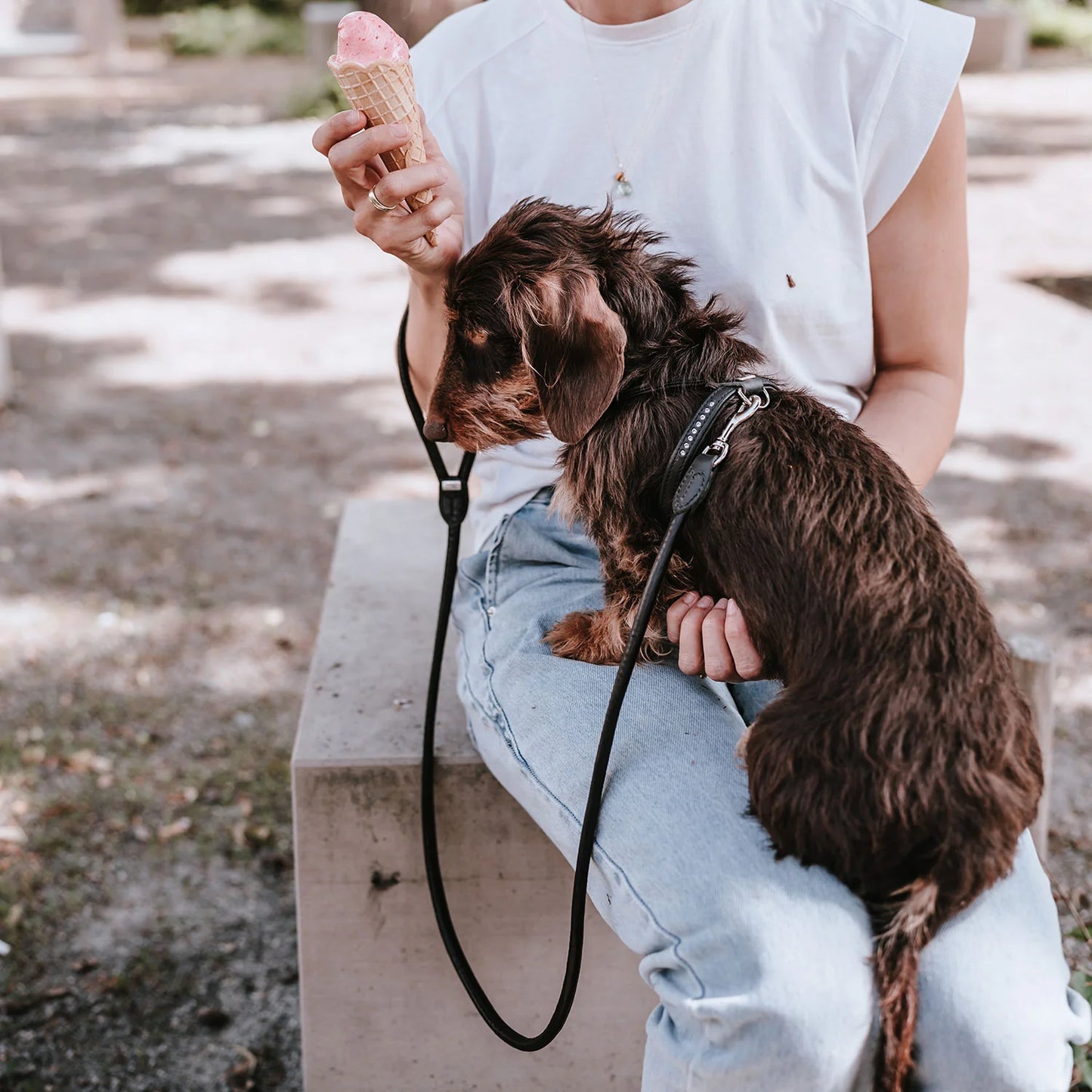 Harnais pour Chien en Cuir Noir –  XXS-XS Caramel & cie