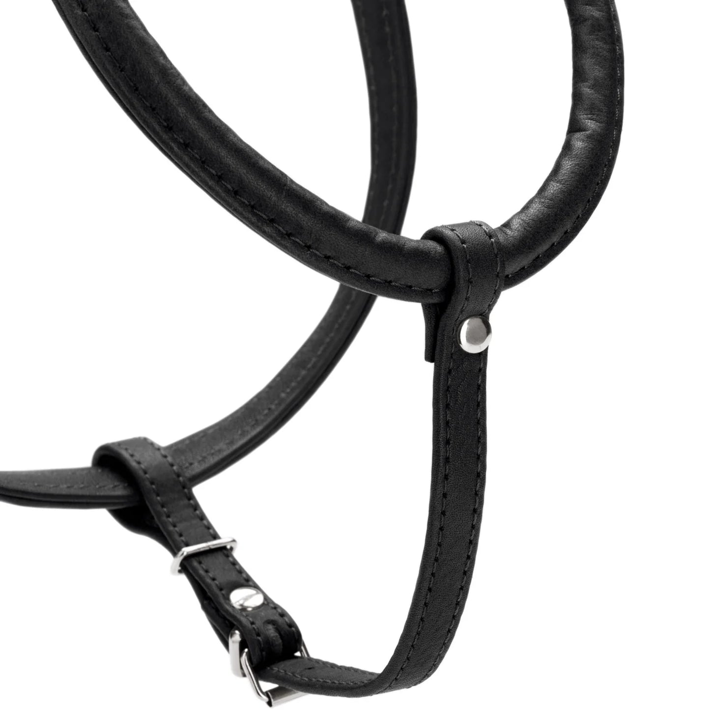 Harnais pour Chien en Cuir Noir –  XXS-XS Caramel & cie