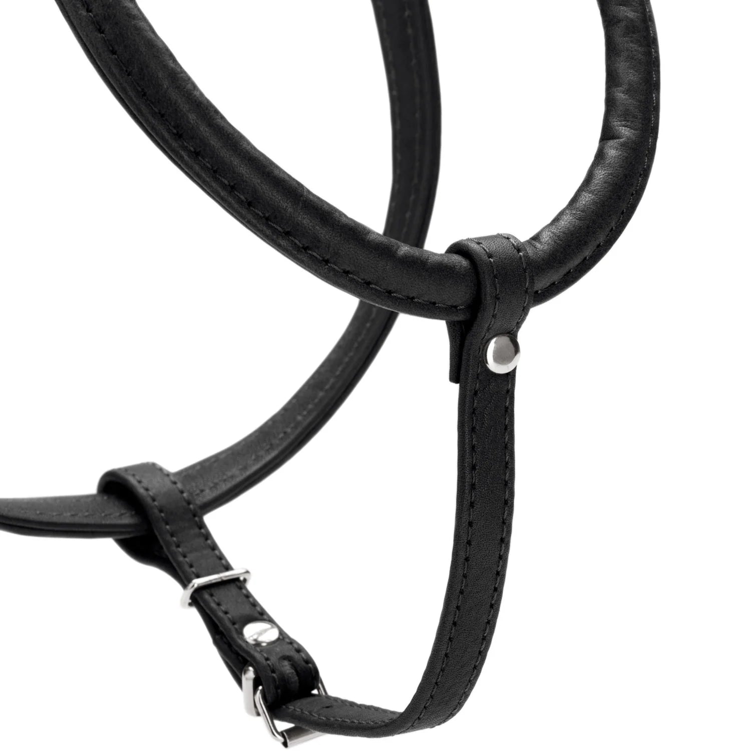 Harnais pour Chien en Cuir Noir –  XXS-XS Caramel & cie