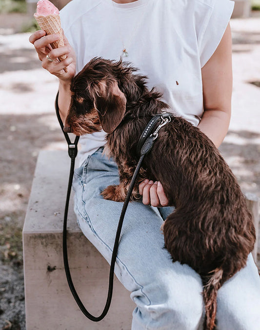 Harnais pour chien en cuir noir - XXS / XS Caramel & cie