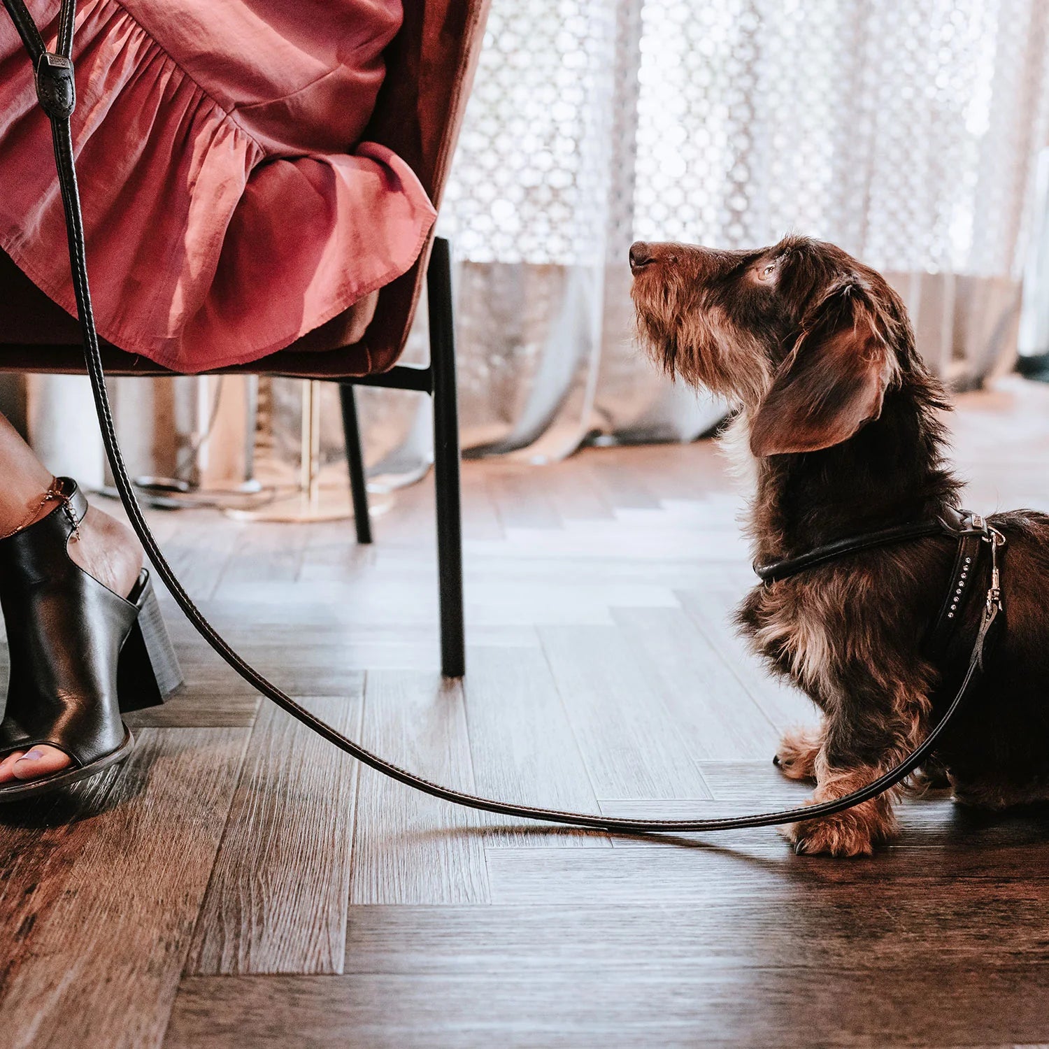 Laisse pour chien en cuir noir Caramel & cie