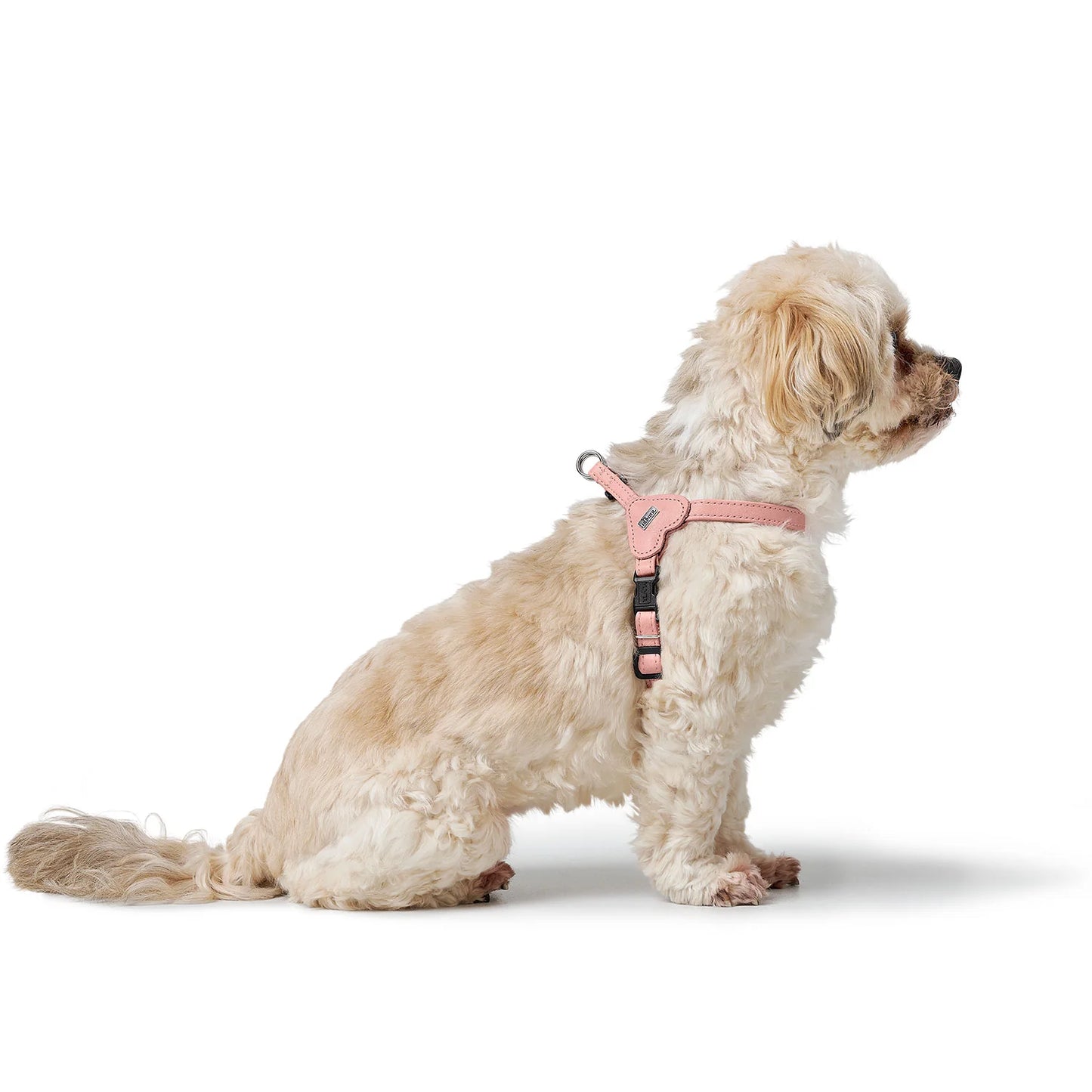 Harnais pour chien rose – XXS-XS Caramel & cie