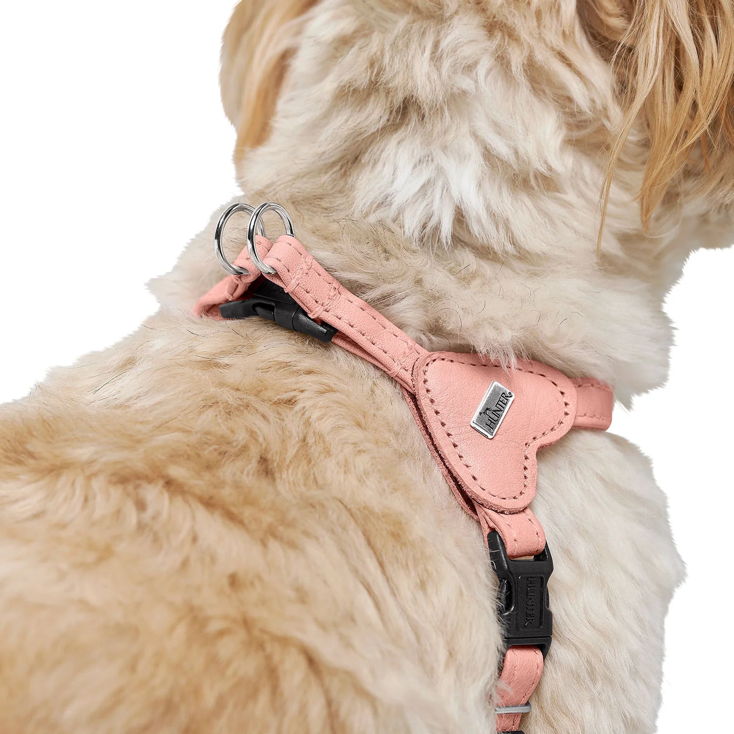 Harnais pour chien rose – XXS-XS Caramel & cie