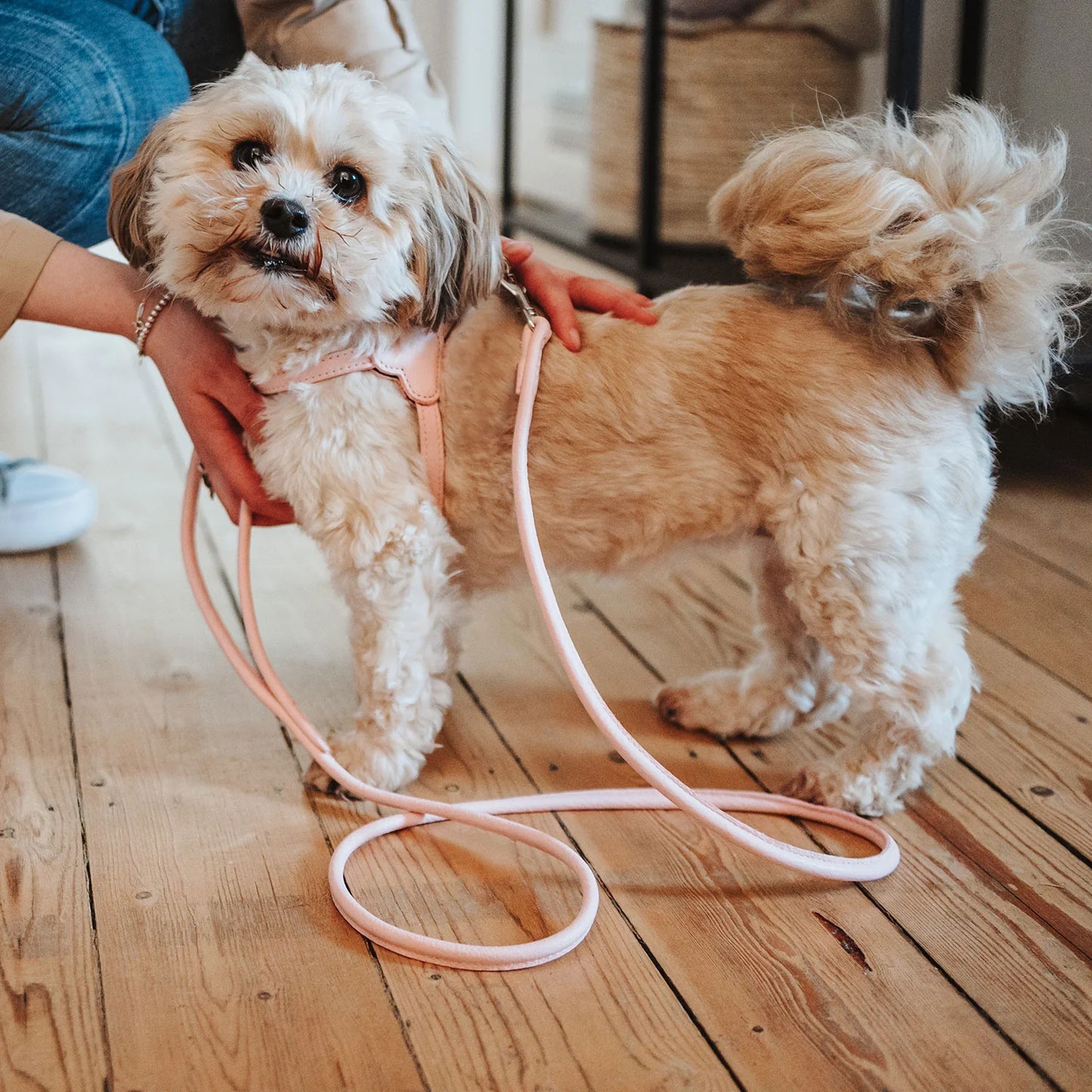 Laisse en cuir rose clair Caramel & cie