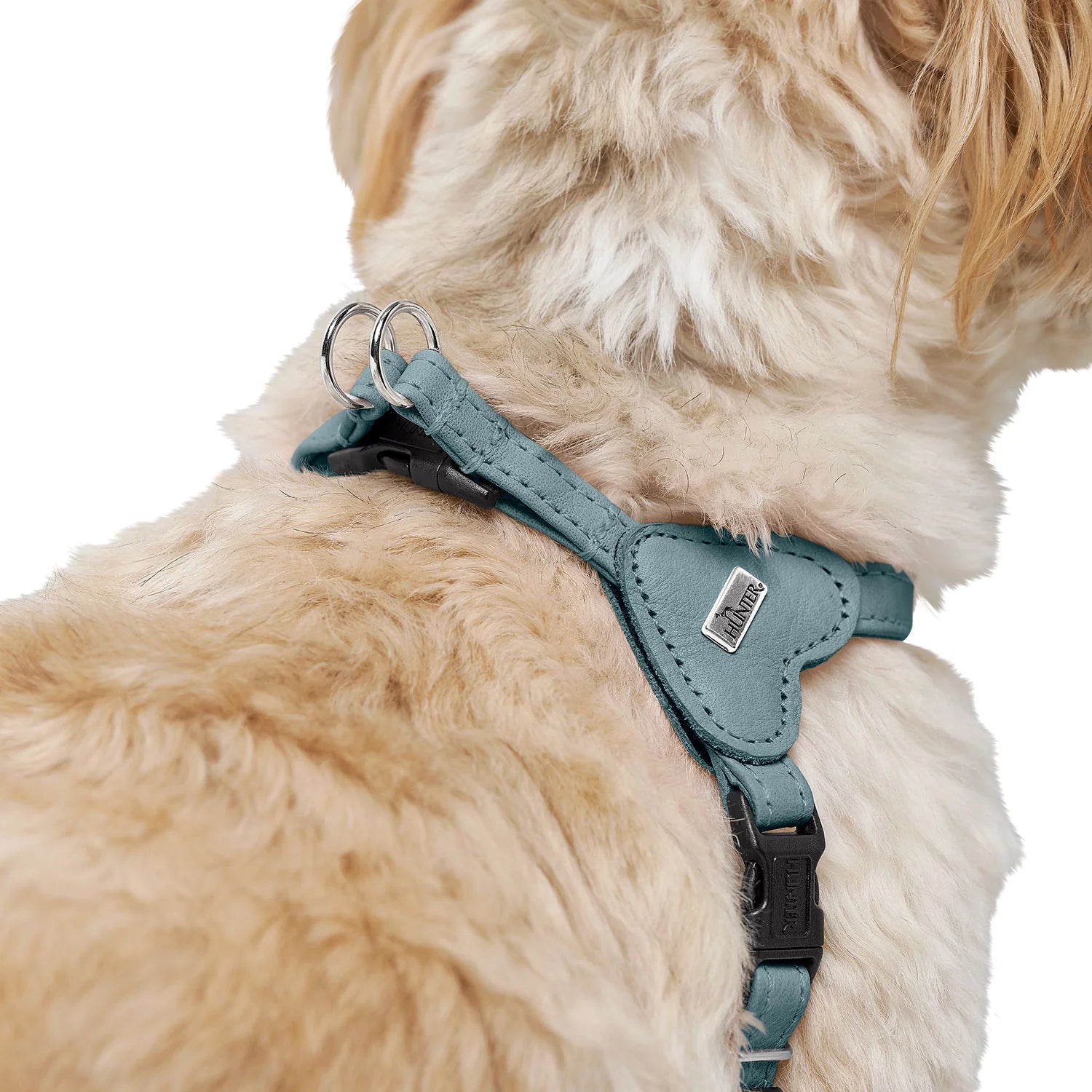 Harnais pour chien bleu – XXS-XS Caramel & cie