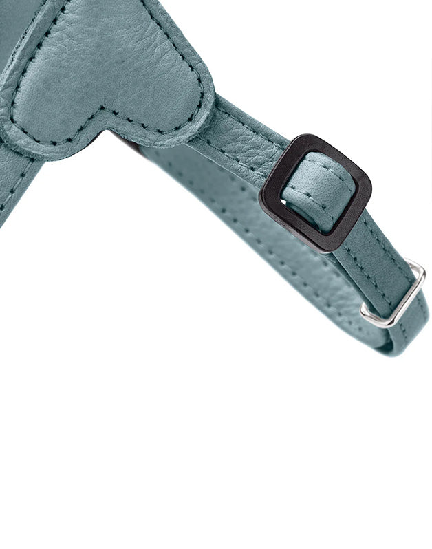 Harnais pour chien bleu - XXS / XS Caramel & cie