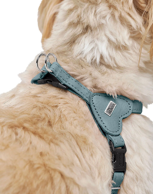 Harnais pour chien bleu - XXS / XS Caramel & cie