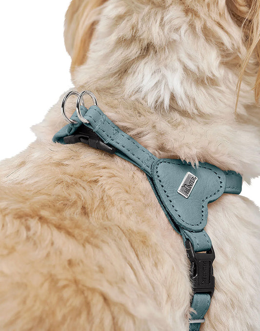 Harnais pour chien bleu - XXS / XS Caramel & cie