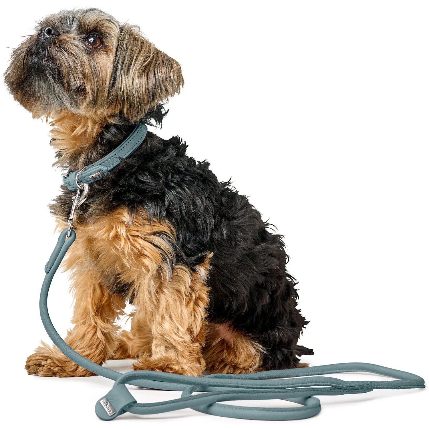 Laisse pour chien en cuir bleu clair Caramel & cie