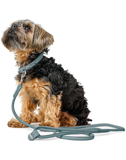 Laisse pour chien en cuir bleu clair Caramel & cie