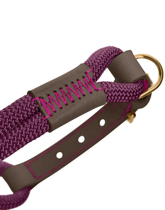 Collier pour chien - Corde violette et cuir marron foncé Caramel & cie