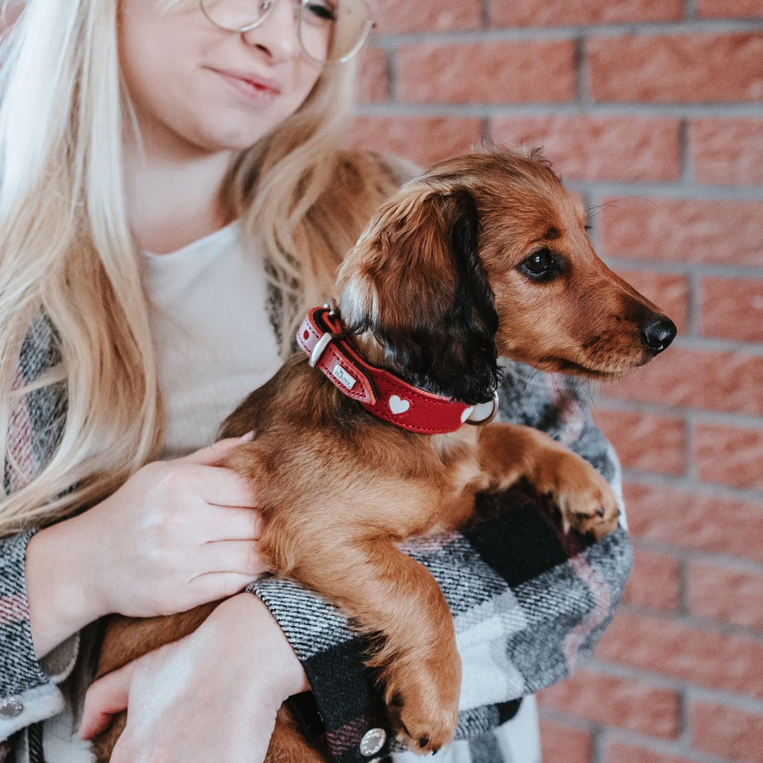 Collier pour chien en cuir rouge Love Caramel & cie