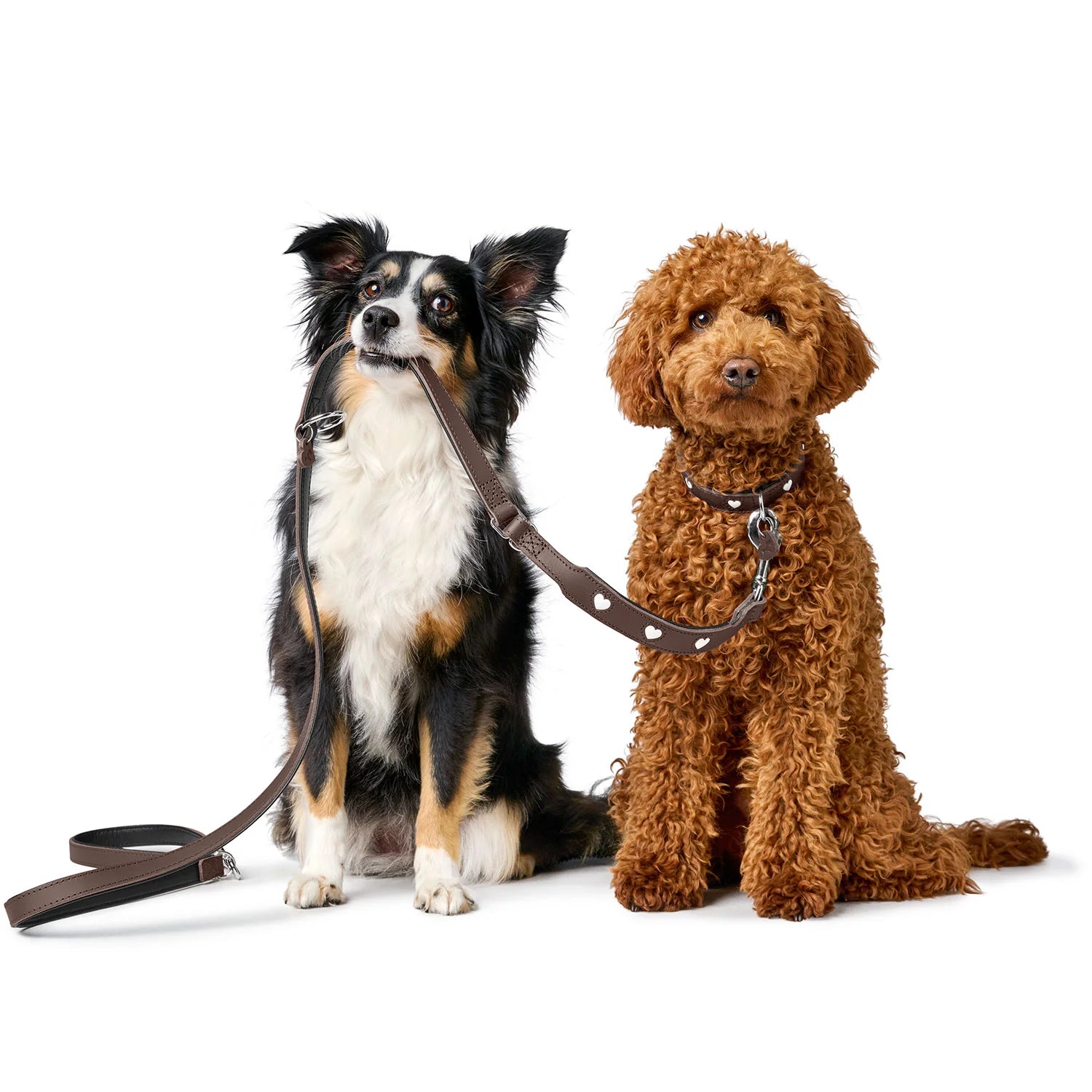 Laisse réglable pour chien en cuir marron Love Caramel & cie