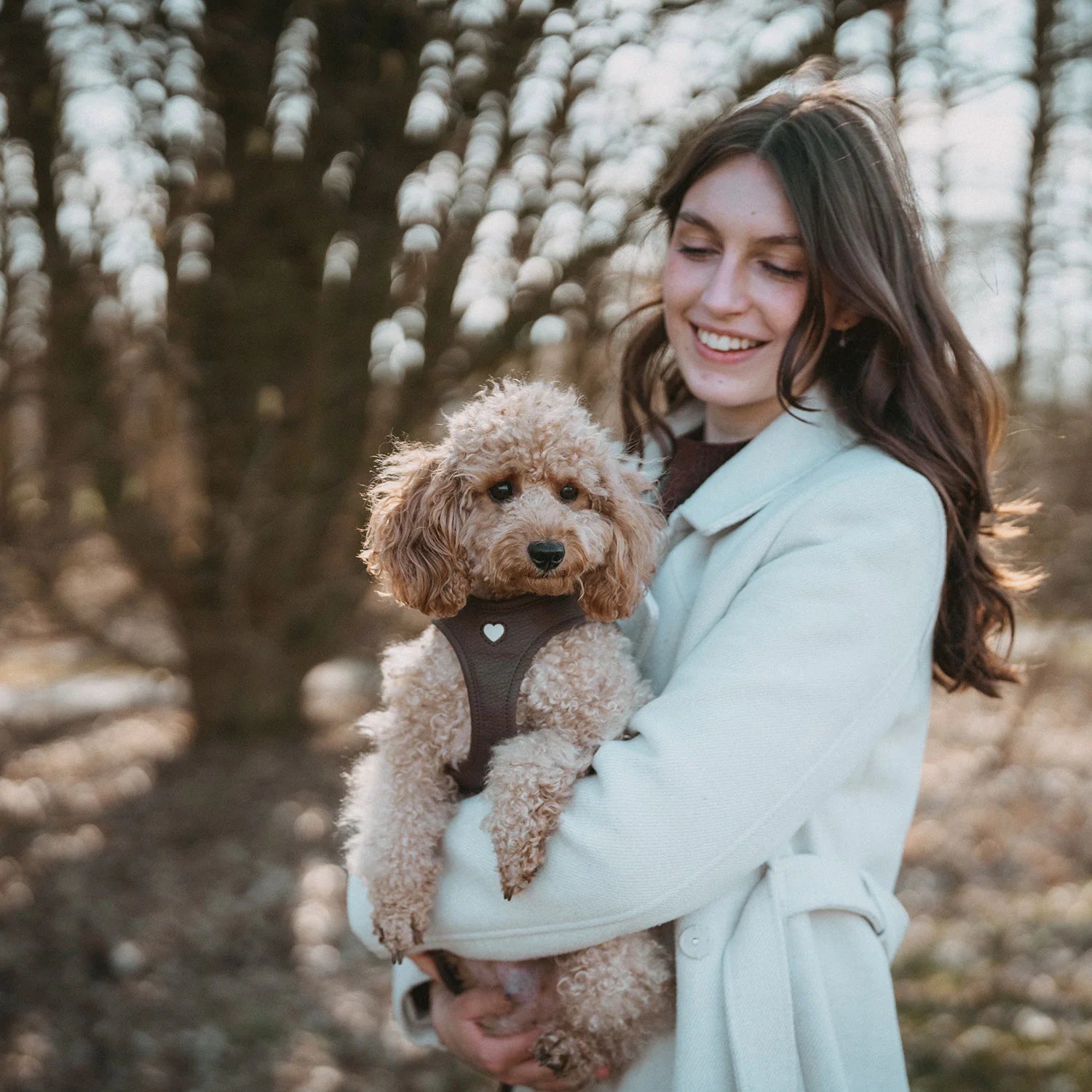 Harnais pour chien en cuir Love Marron - XXS, XS Caramel & cie