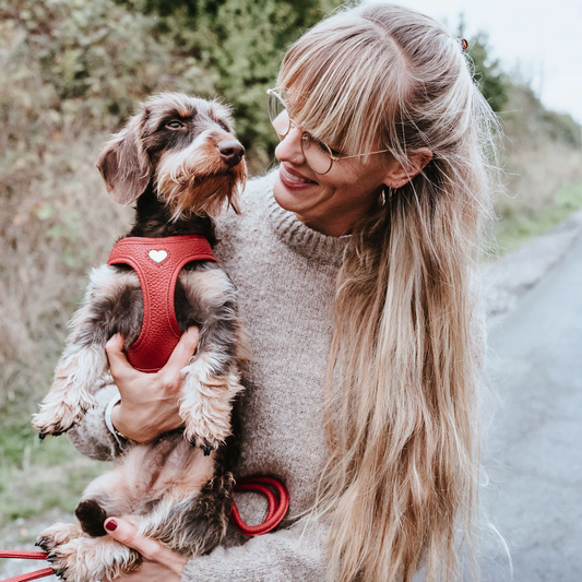 Chien dans les bras portant le harnais Love – ambiance extérieure