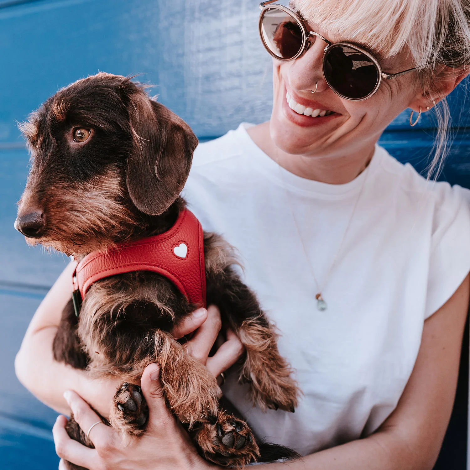 Portrait d’un chien portant le harnais Love – tenue par son humain