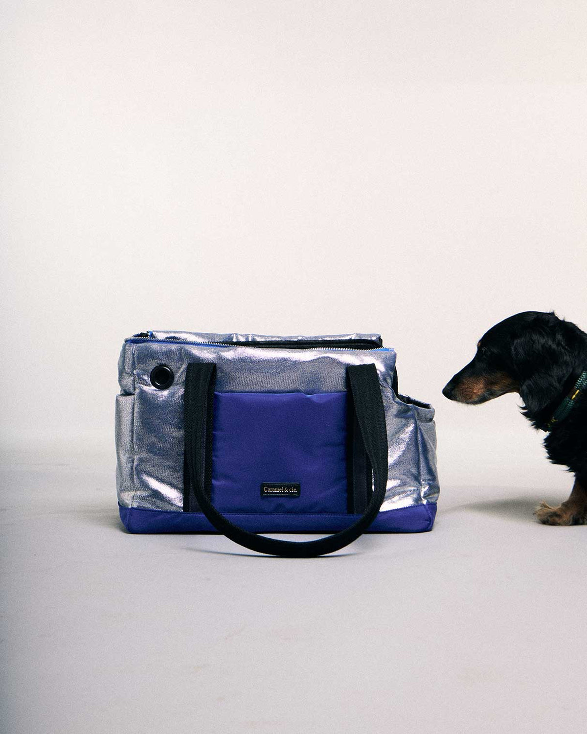 Teckel observant le sac de ville Metallic Gray Blue Pet City Bag