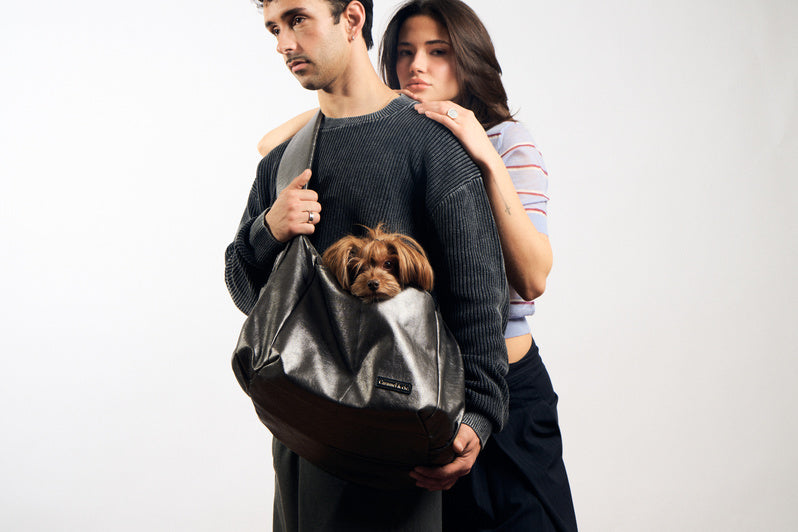 Sac de transport pour chiens et chats - Gris