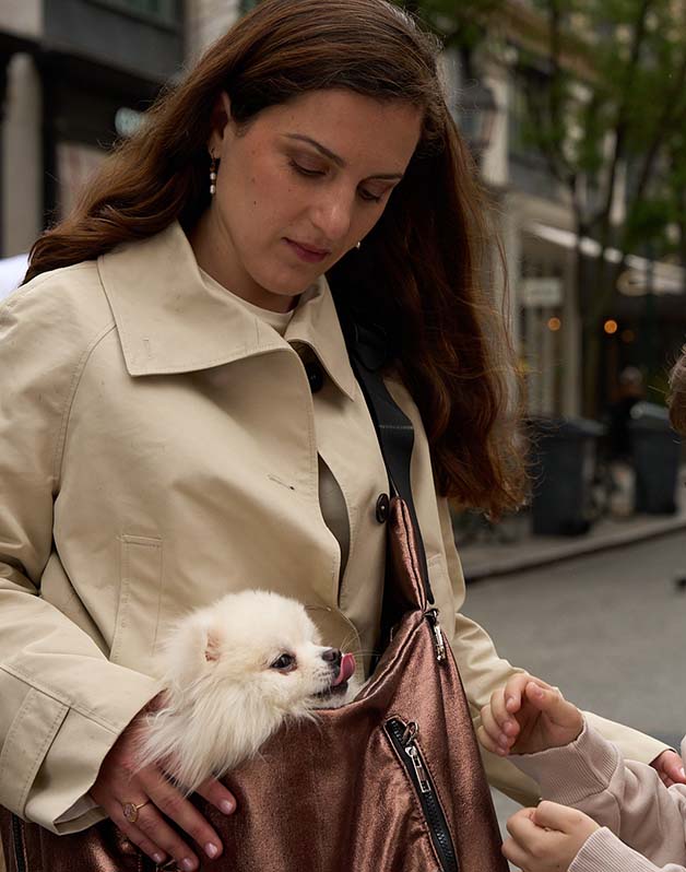 Sac de transport pour chiens et chats - Bronze