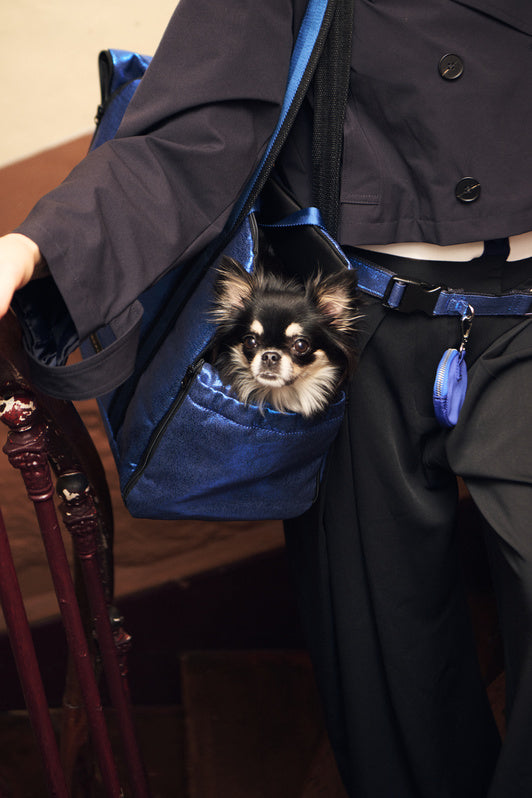 Chihuahua installé dans le Pet Home Bag bleu métallisé porté à l’épaule