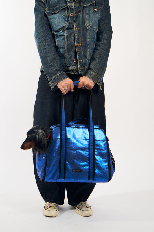 Teckel transporté dans le Pet Home Bag bleu métallisé à longues anses