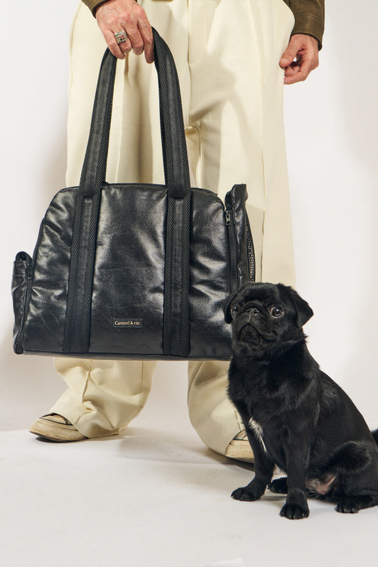 Pet Home Bag noir métallisé 3-en-1 pour chien et chat – vue de face