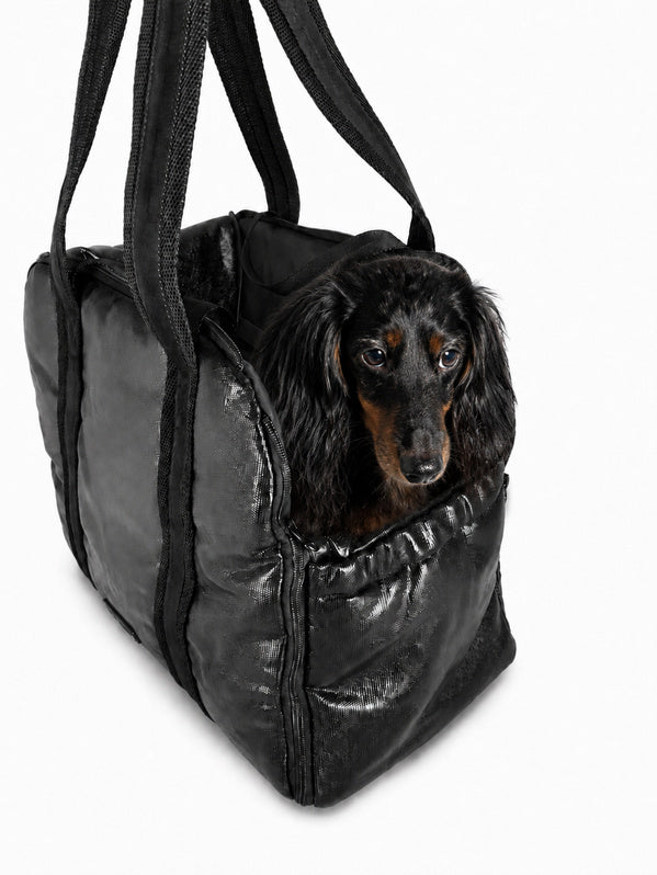 Teckel installé dans le Pet Home Bag noir métallisé en configuration semi-ouverte