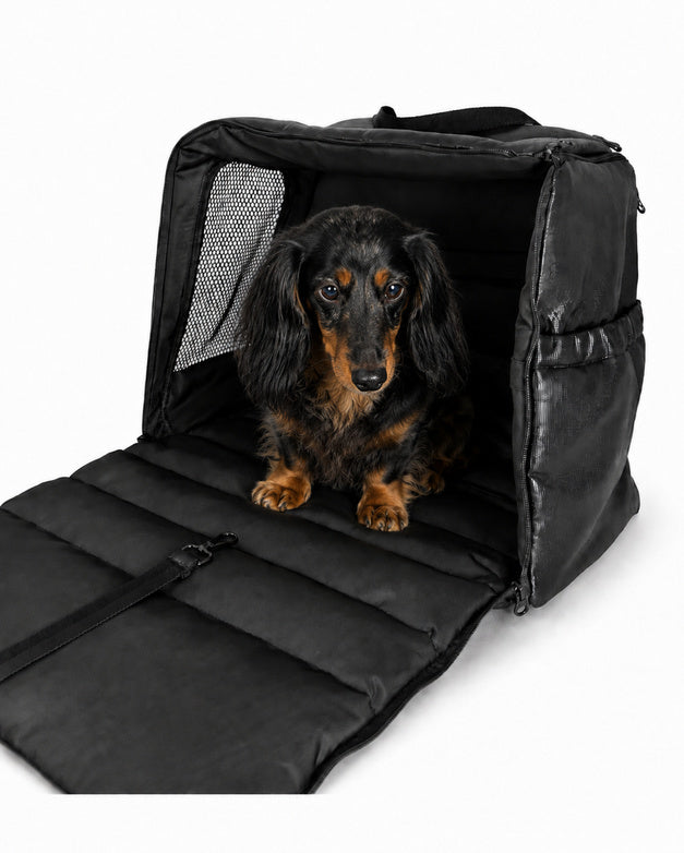 Pet Home Bag noir métallisé transformé en petite niche de repos pour chien