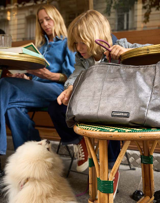 Sac de transport pour votre animal de compagnie - Gris