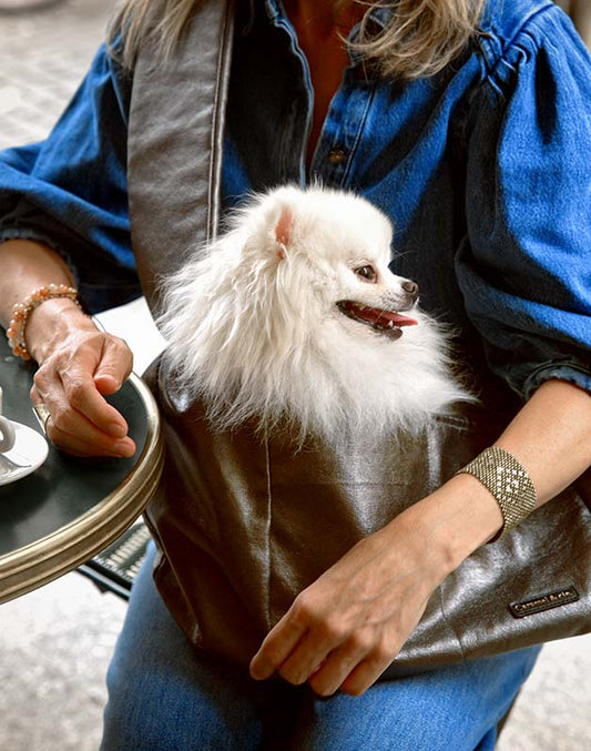 Sac de transport pour votre animal de compagnie - Gris