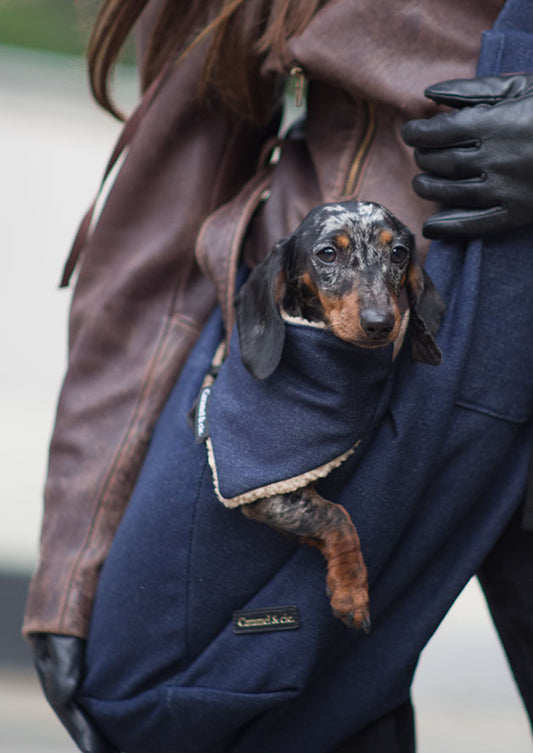 Bandana pour chiens et chats  - Denim bleu Caramel & cie