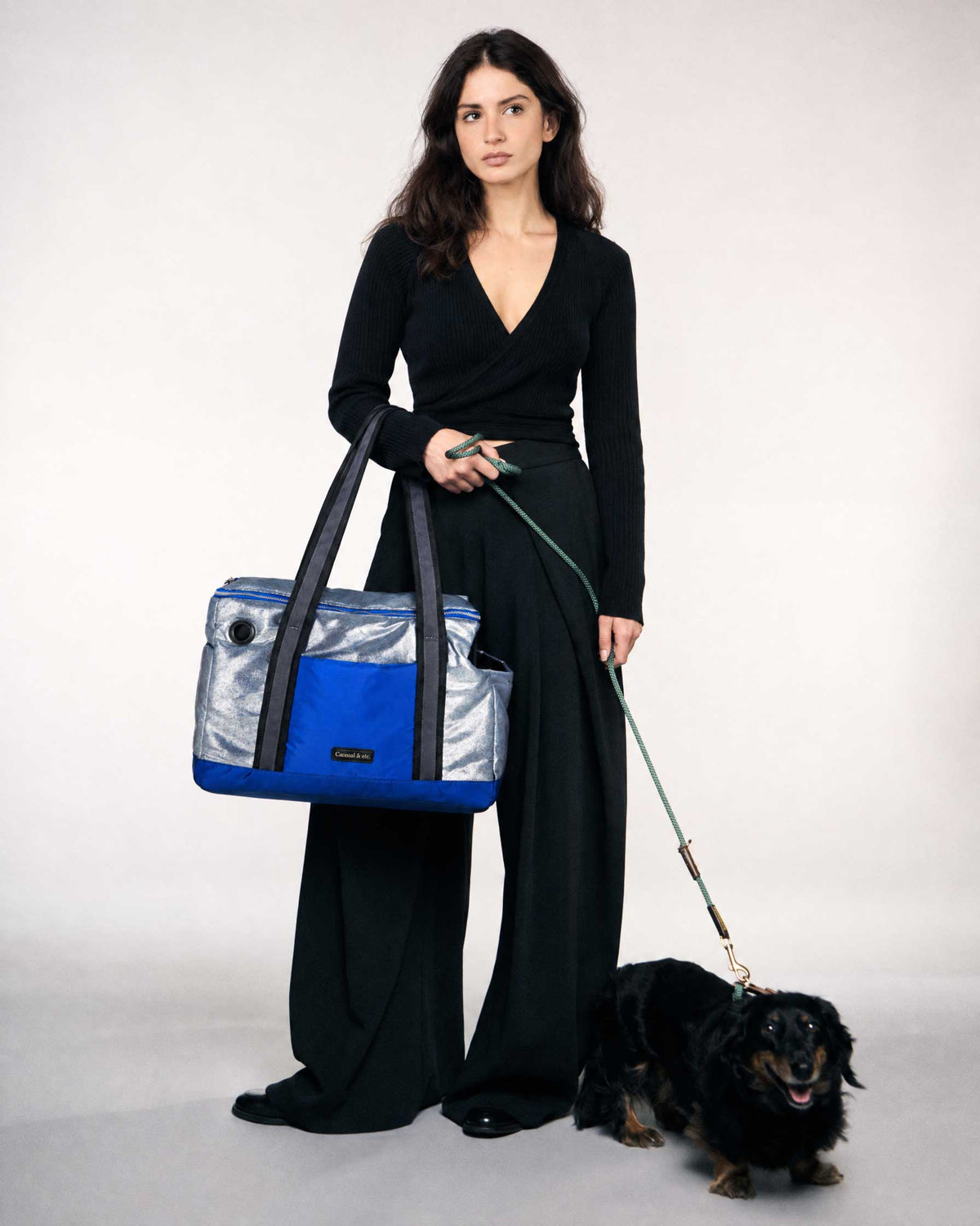 Sac de transport Metallic Gray Blue Pet City Bag pour chien-model